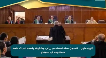 تنويه عاجل.. السجن سنة لمهندس زراعي وشقيقه بتهمة إحداث عاهة مستديمة في سوهاج